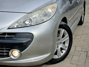 Peugeot 207 1.6 XS 2007 Beige