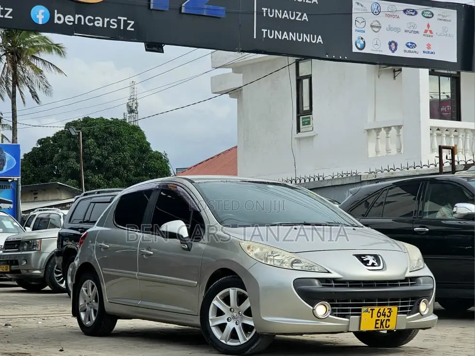 Peugeot 207 1.6 XS 2007 Beige