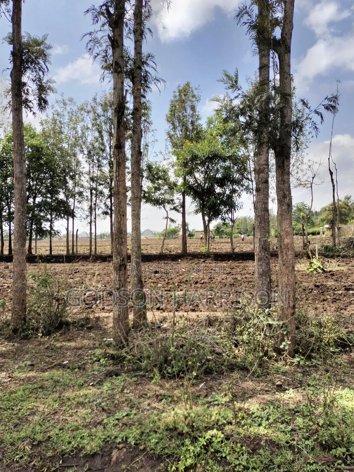 3.5 Acres Near Arusha Airport For Sale