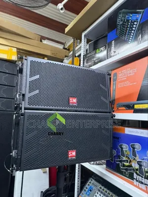 Best Active Line Array Base Speaker American Model Builtin Amplifier