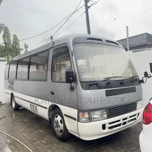 Toyota Coaster 2004 Grey