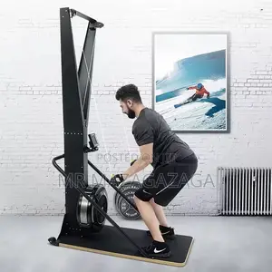 Ski Rowing Machine