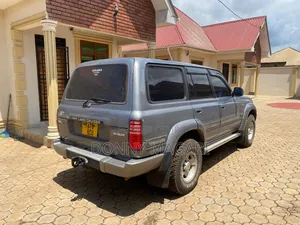 Toyota Land Cruiser 1996 Gray