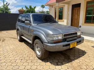 Toyota Land Cruiser 1996 Gray