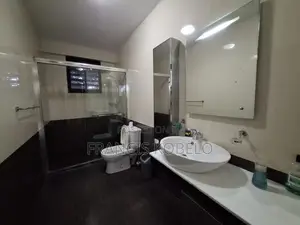 Furnished 3bdrm Apartment in Masaki for rent