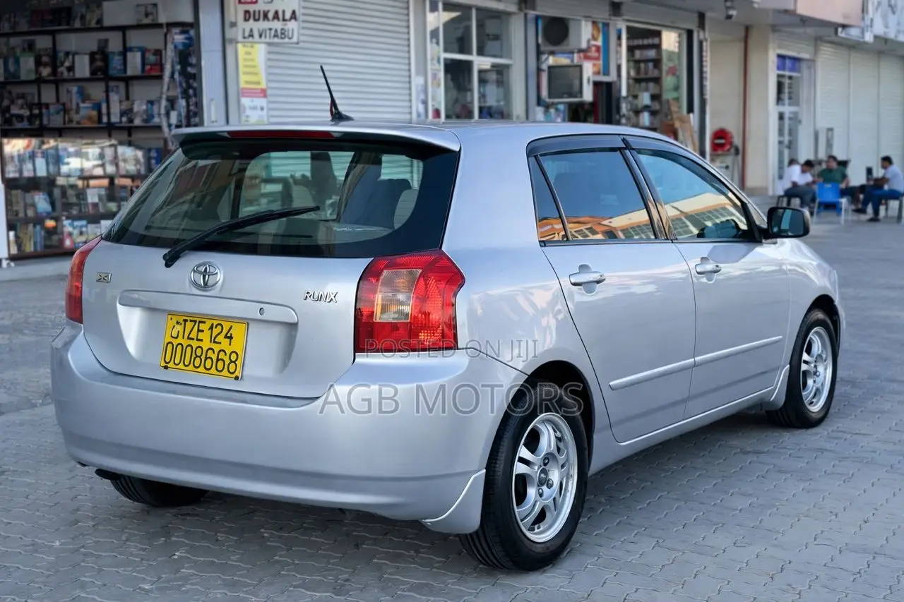 Toyota Corolla RunX 2004 Silver