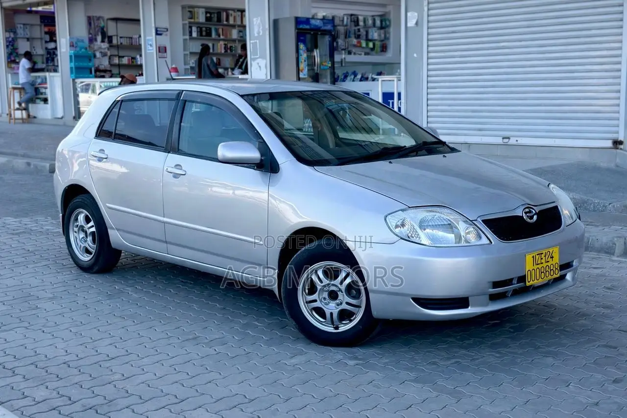 Toyota Corolla RunX 2004 Silver
