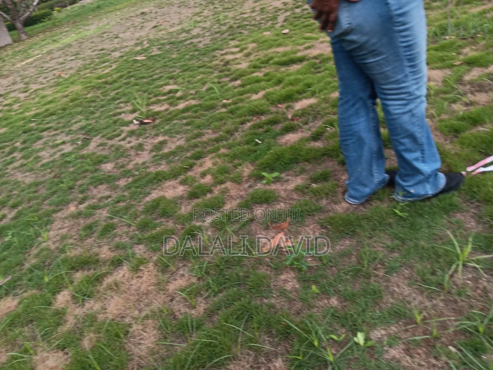 Farm for Sale at Bagamoyo Mingoi