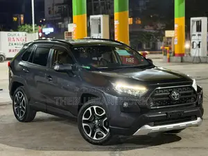 Toyota RAV4 2020 Gray