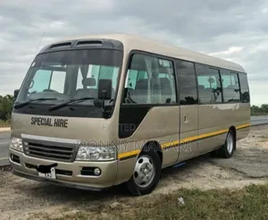 Toyota Coaster 2003 Gold