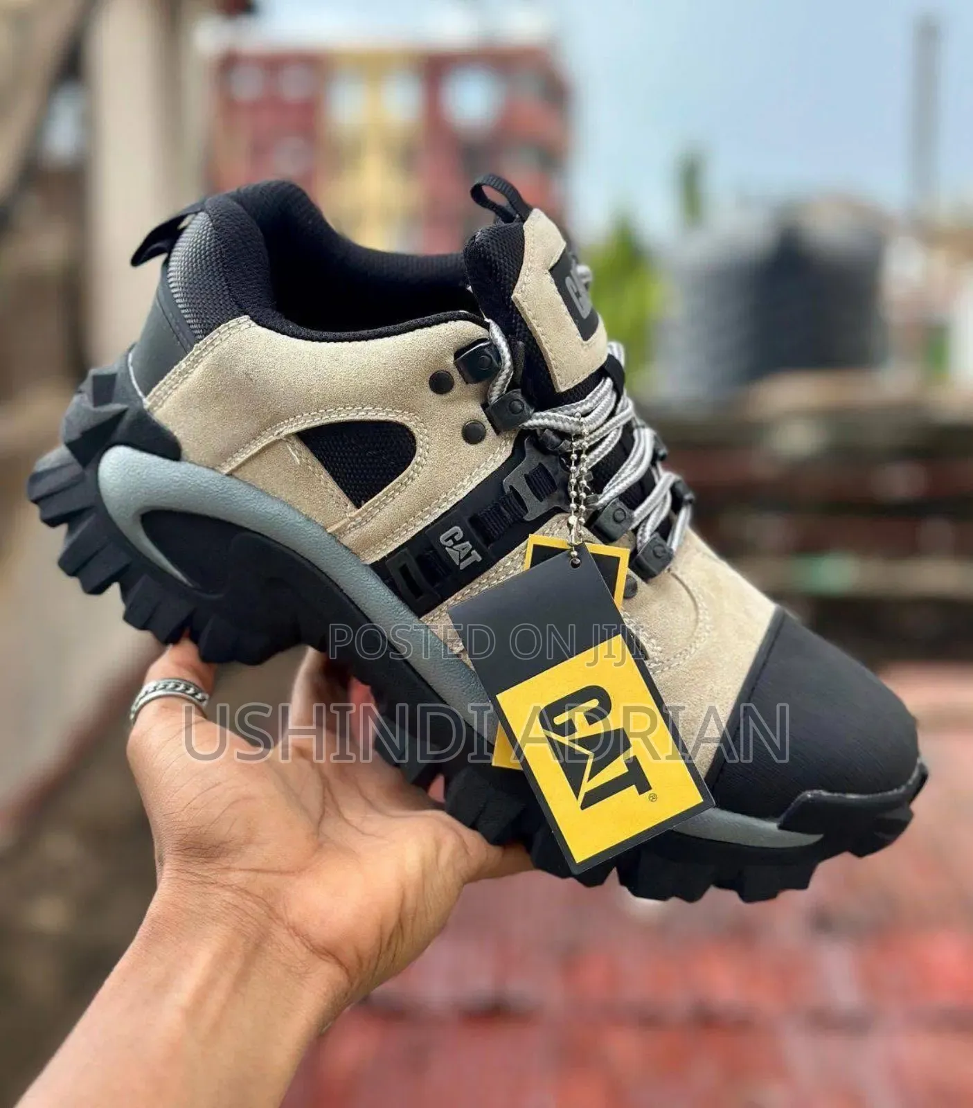Cat Iron Man Shoes