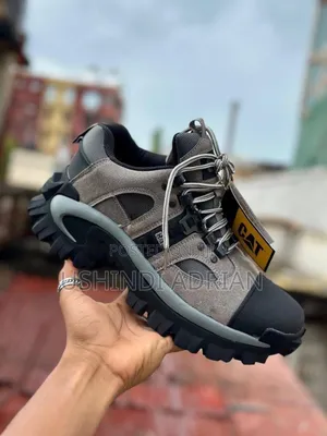 Cat Iron Man Shoes