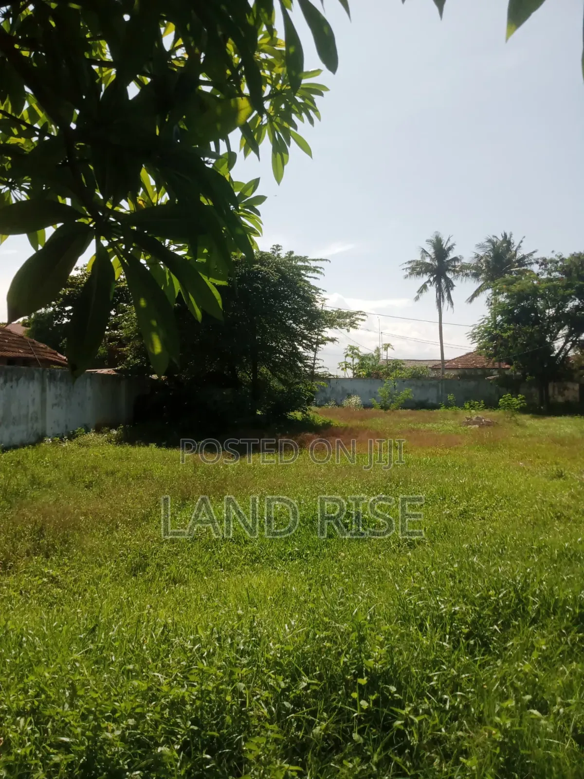 Land for Sale Oysterbay
