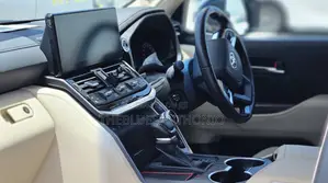 Toyota Land Cruiser 2024 Gray