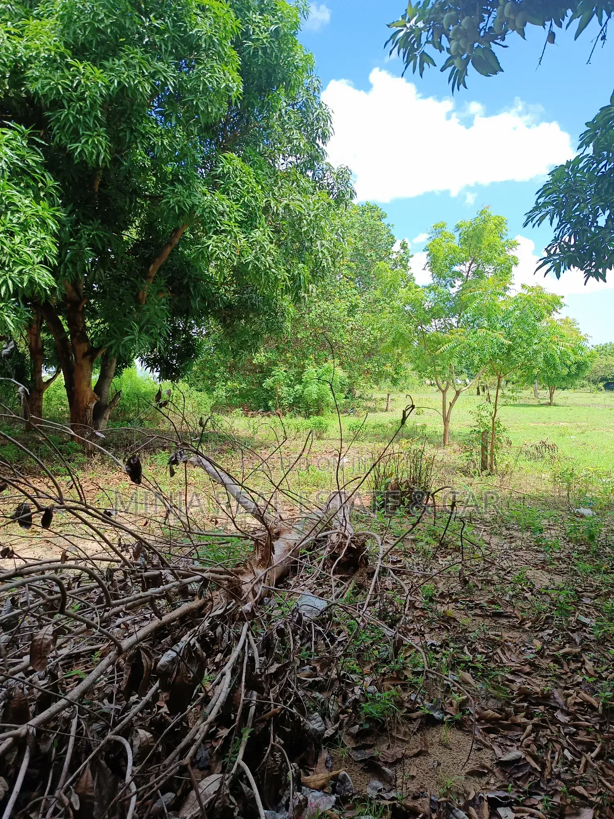 Yard/Warehouse Plot for Sale Toangoma Kigamboni
