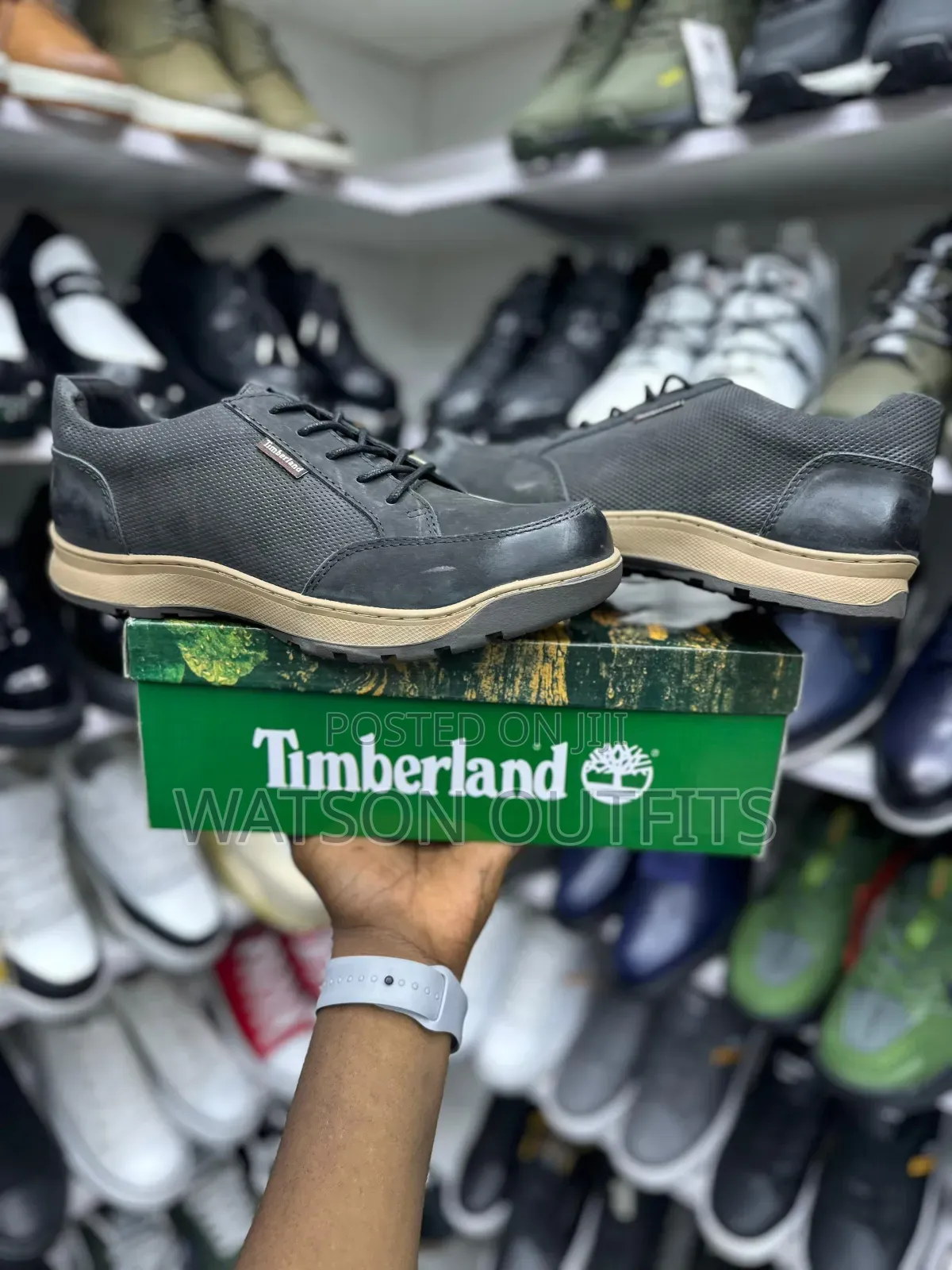 3 Colours Timberland Brand New Men's Leather Shoes Og