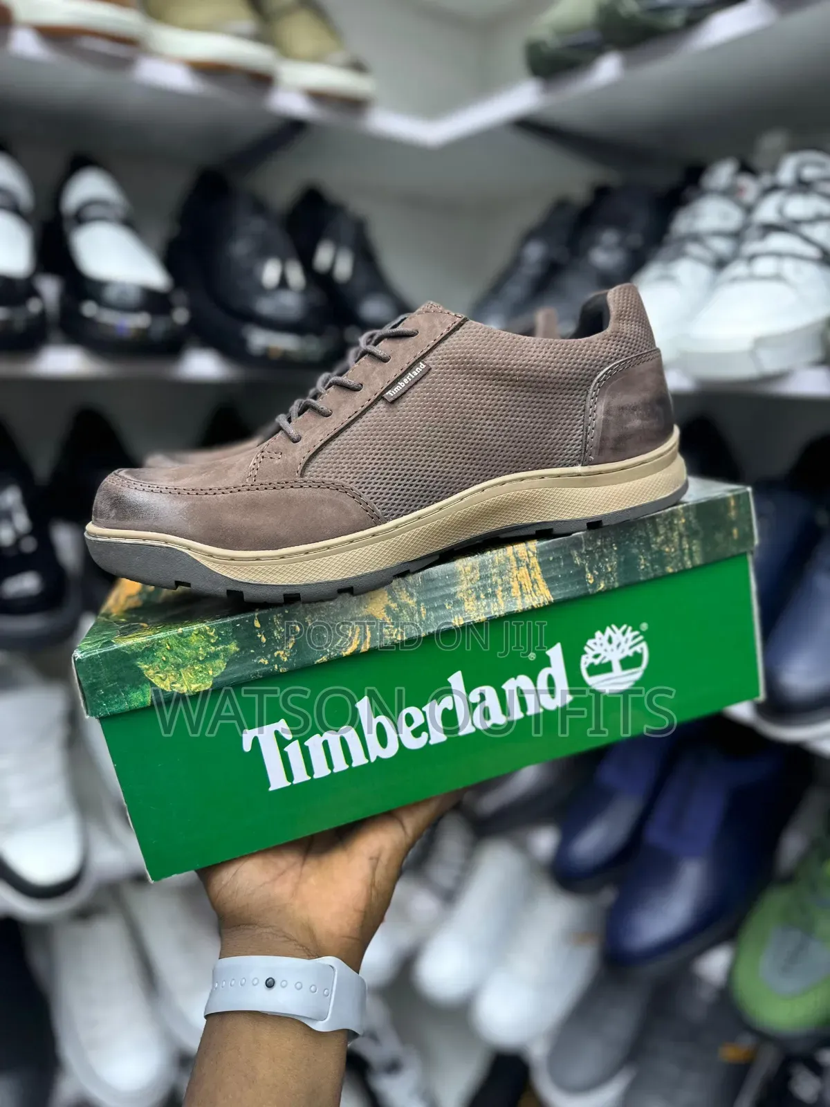 3 Colours Timberland Brand New Men's Leather Shoes Og