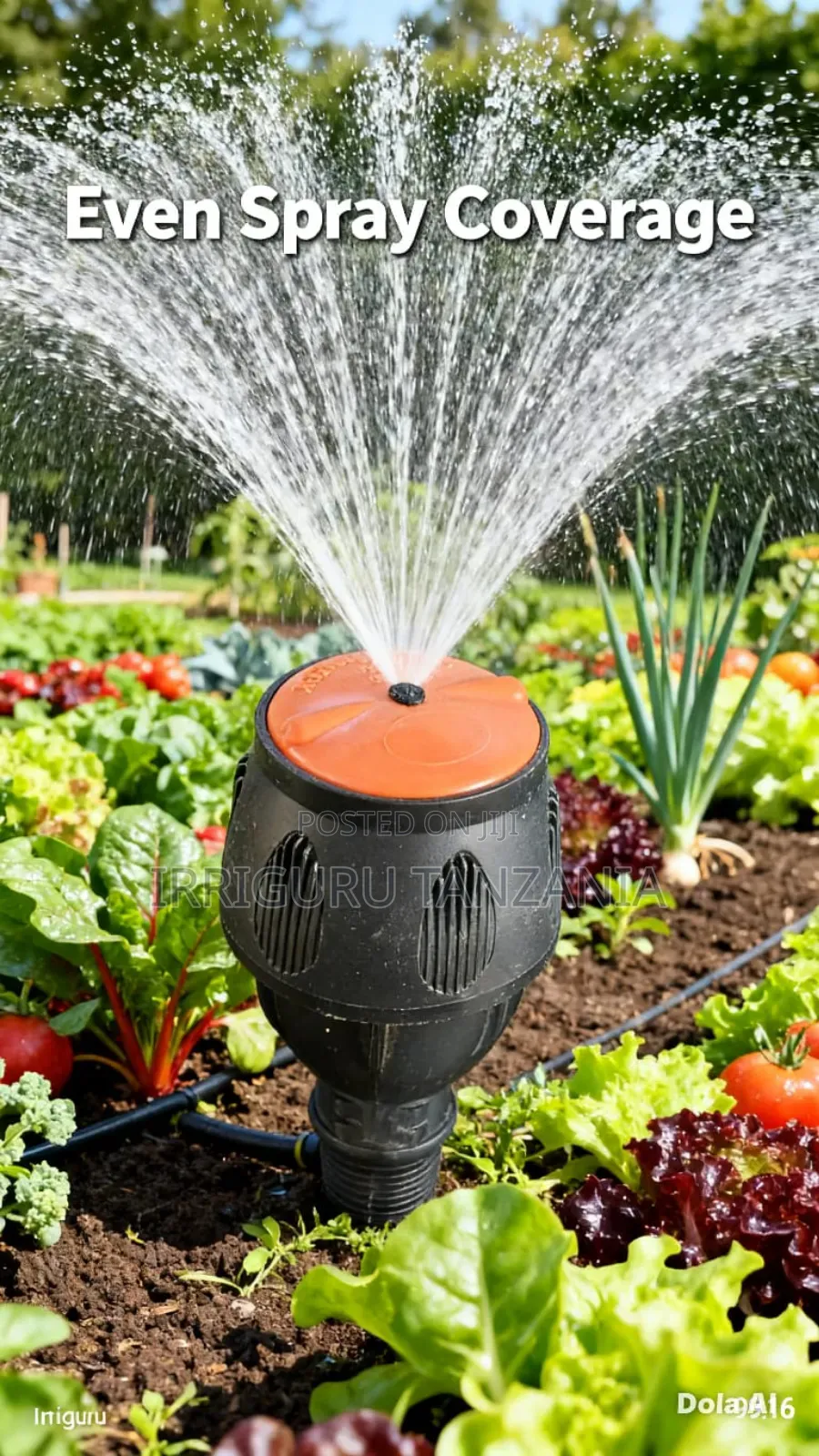 Multi Direction Egg Sprinkler