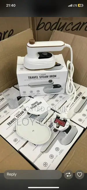 Travel Steam Iron