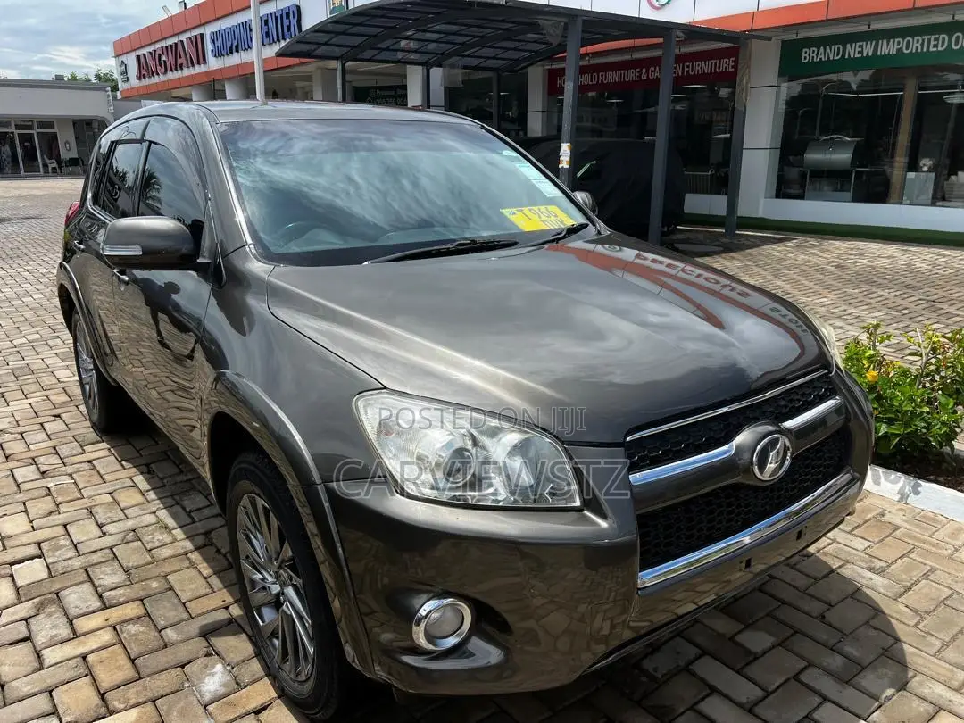 Toyota RAV4 Limited 2009 Gray
