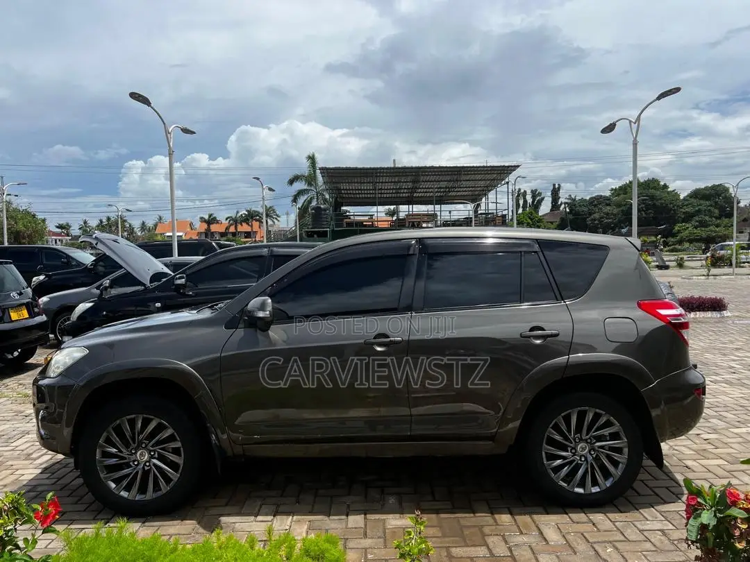 Toyota RAV4 Limited 2009 Gray