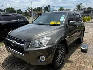 Toyota RAV4 Limited 2009 Gray