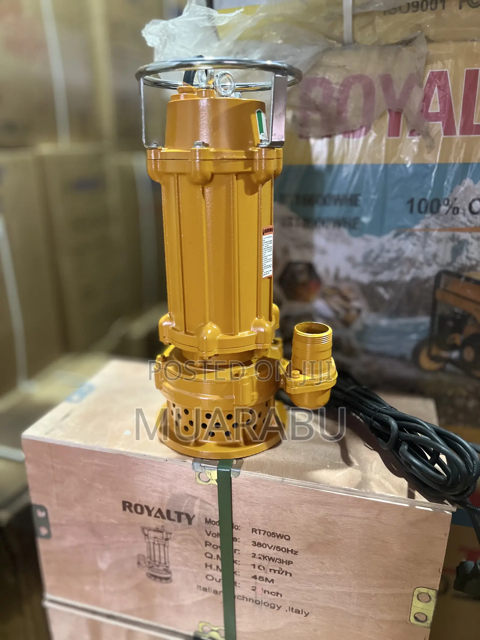 Royalty Sewage Pump 2hp