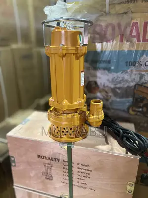 Royalty Sewage Pump 2hp