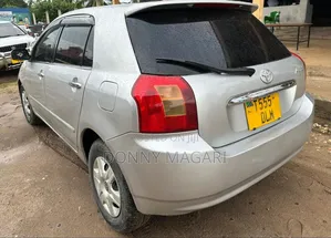 Toyota Allex 2005 Silver