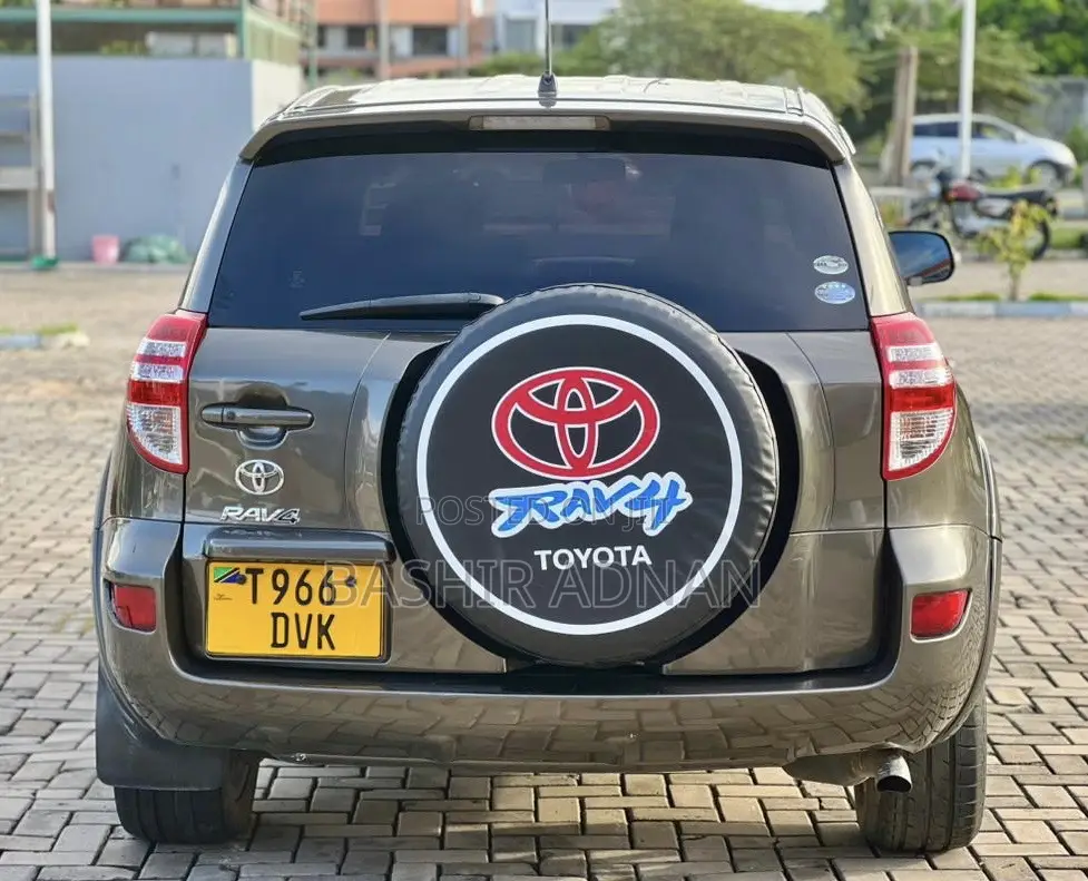 Toyota RAV4 Limited 2009 Brown