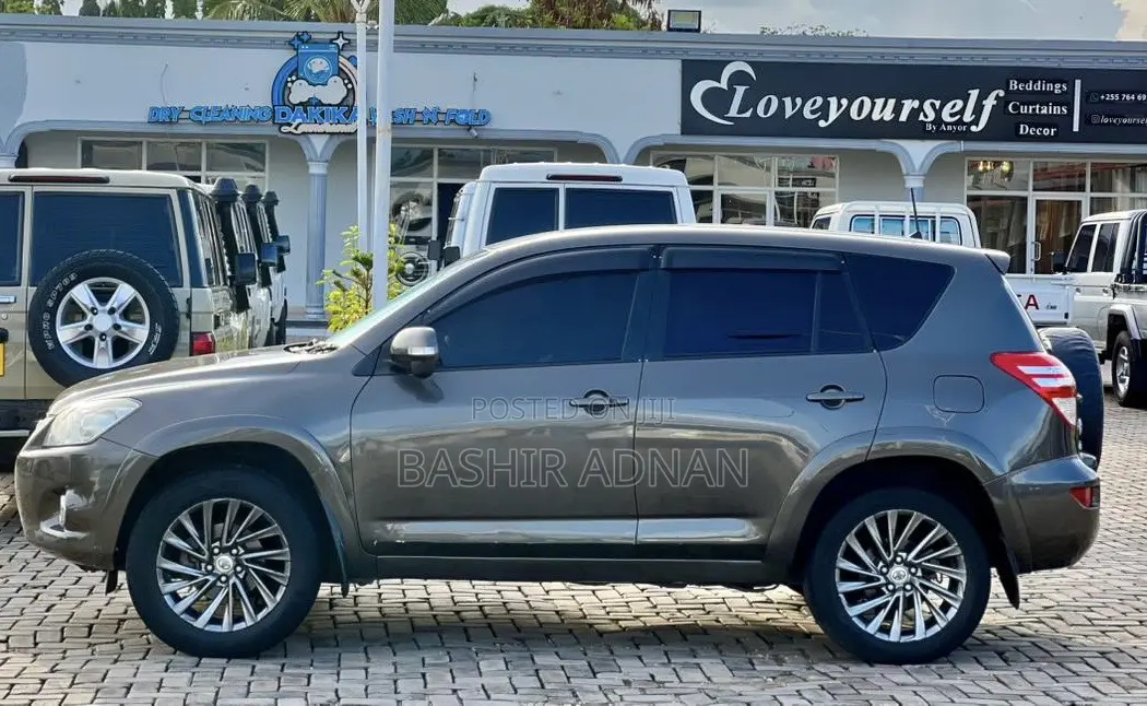 Toyota RAV4 Limited 2009 Brown