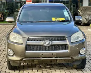 Toyota RAV4 Limited 2009 Brown