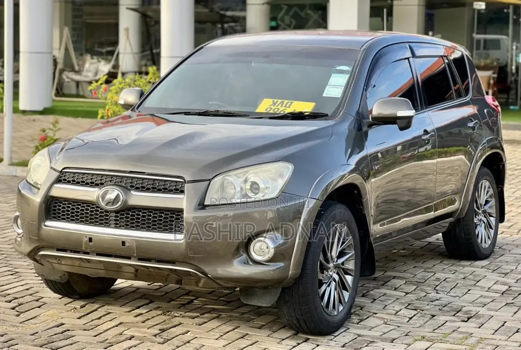 Toyota RAV4 Limited 2009 Brown