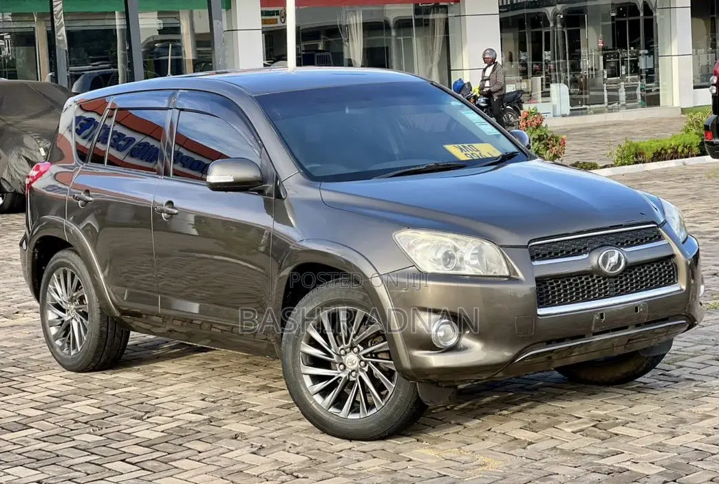 Toyota RAV4 Limited 2009 Brown