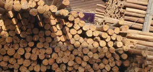 Milunda Foot 18(6m)