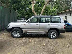Toyota Land Cruiser 2003 Silver