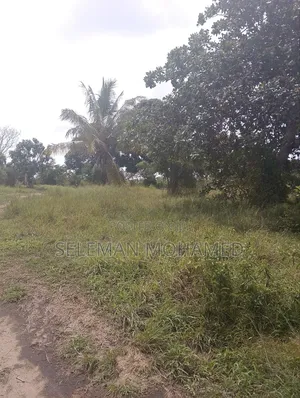Kiwanja Kinauzwa Kigamboni