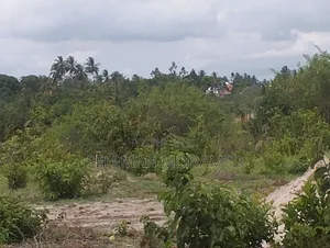 Shamba Linauzwa Tambani