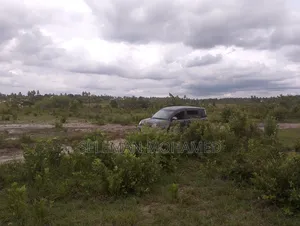 Shamba Linauzwa Tambani
