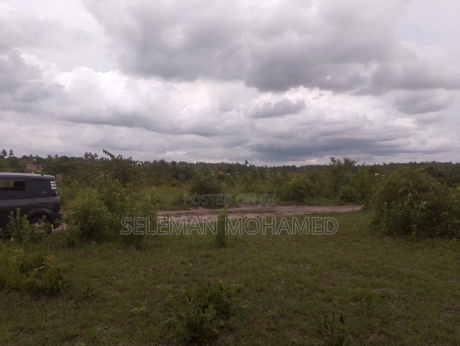 Shamba Linauzwa Tambani