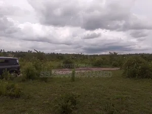 Shamba Linauzwa Tambani