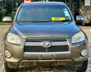 Toyota RAV4 2009 Gray