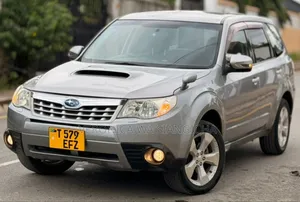 Subaru Forester 2010 Gray