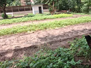 Kiwanja Kinauzwa Kwa Mnada Bei Nzuri Sana Goba Njia Nne