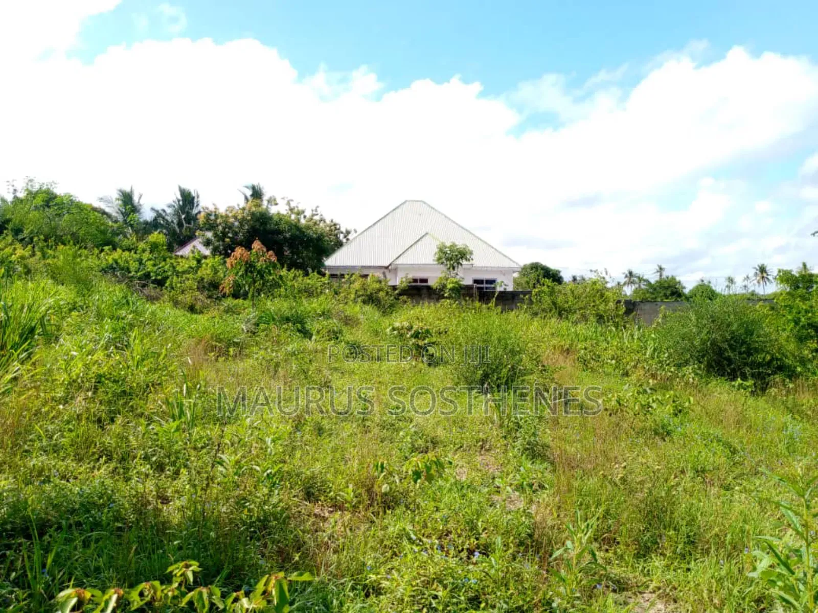 4bdrm House in Visiga Zegereni for sale