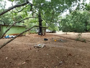 Plot for Sale at Mikocheni Kwa Warioba