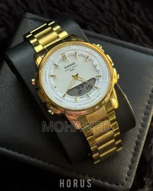 Casio Double Watch