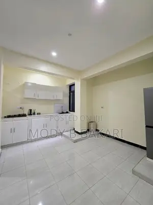 Furnished 3bdrm Apartment in Masaki for rent