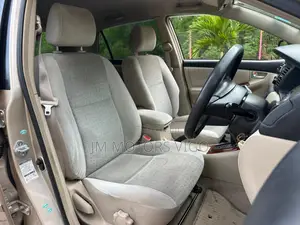 Toyota Allex 2004 Gold