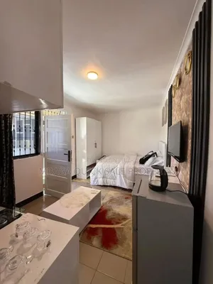 Furnished 1bdrm Apartment in Mikocheni, Mbezi Beach for rent